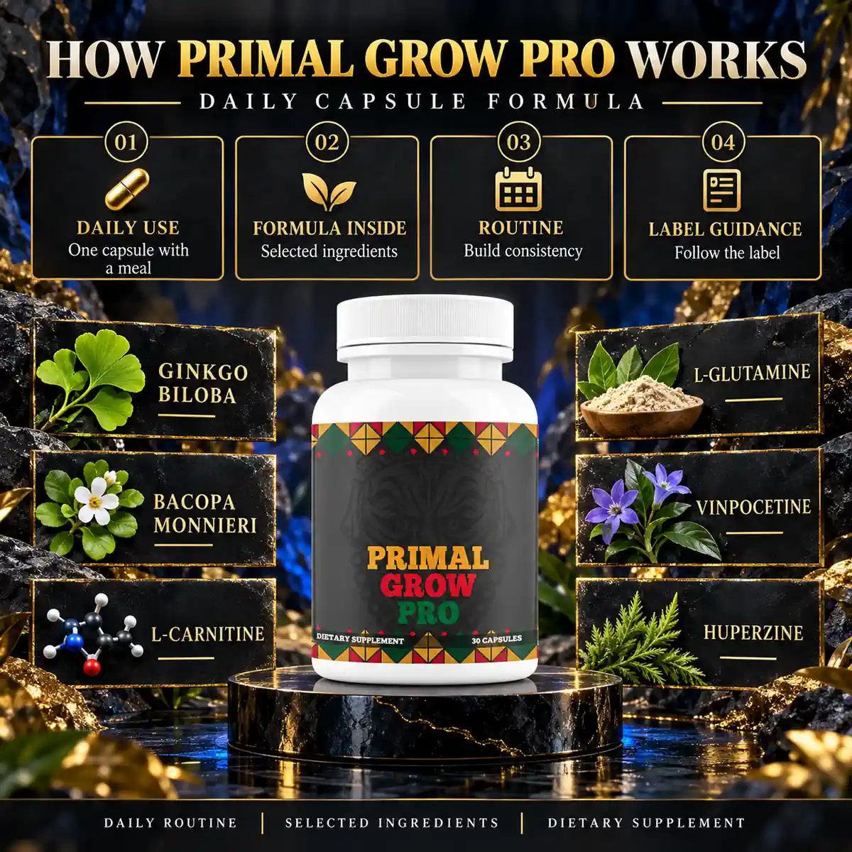 The seller&rsquo;s How Primal Grow Pro Works graphic, with four numbered routine tiles